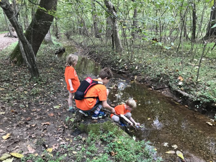 Kids taking a water sample from creek